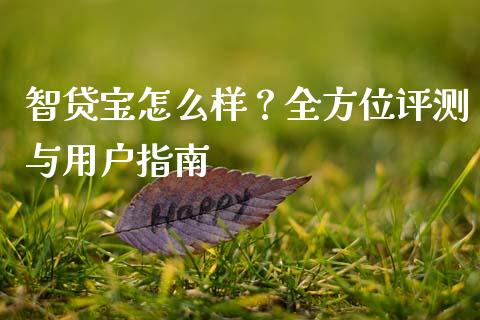 智贷宝怎么样？全方位评测与用户指南_https://m.qmgjg.com_货币基金_第1张