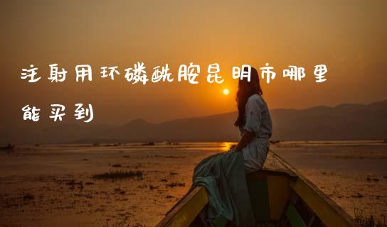 注射用环磷酰胺昆明市哪里能买到_https://m.qmgjg.com_货币基金_第1张