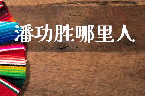 潘功胜哪里人_https://m.qmgjg.com_货币基金_第1张