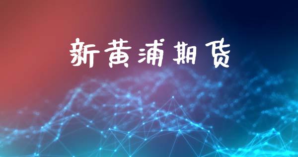 新黄浦期货_https://m.qmgjg.com_投资银行_第1张