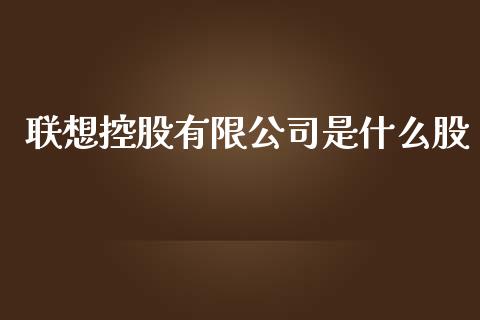 联想控股有限公司是什么股_https://m.qmgjg.com_资金管理_第1张