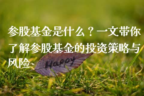 参股基金是什么?一文带你了解参股基金的投资策略与风险_金融市场_第1张_资金管理_投资银行_金融市场_货币基金 参股基金是什么?一文带你了解参股基金的投资策略与风险_https://m.qmgjg.com_金融市场_第1张