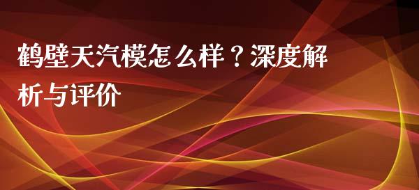 鹤壁天汽模怎么样？深度解析与评价_https://m.qmgjg.com_投资银行_第1张