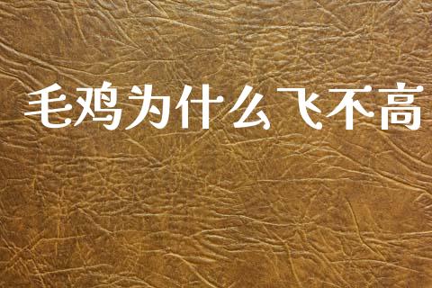 毛鸡为什么飞不高_https://m.qmgjg.com_金融市场_第1张