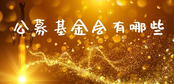 公募基金会有哪些_https://m.qmgjg.com_投资银行_第1张