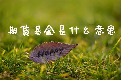期货基金是什么意思_资金管理_第1张_资金管理_投资银行_金融市场_货币基金 期货基金是什么意思_https://m.qmgjg.com_资金管理_第1张