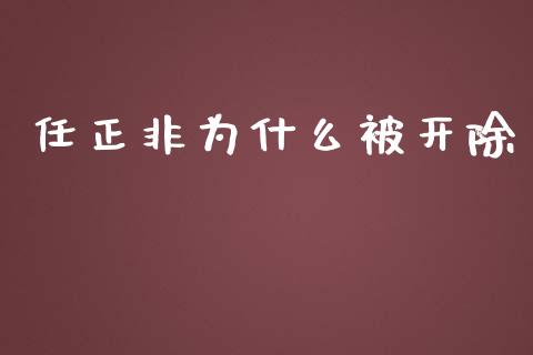任正非为什么被开除_https://m.qmgjg.com_货币基金_第1张