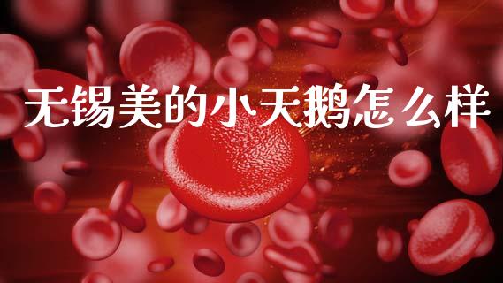 无锡美的小天鹅怎么样_https://m.qmgjg.com_资金管理_第1张