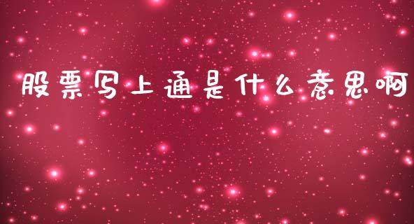 股票写上通是什么意思啊_https://m.qmgjg.com_货币基金_第1张