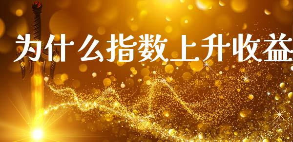 为什么指数上升收益_https://m.qmgjg.com_货币基金_第1张