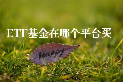 ETF基金在哪个平台买_https://m.qmgjg.com_投资银行_第1张