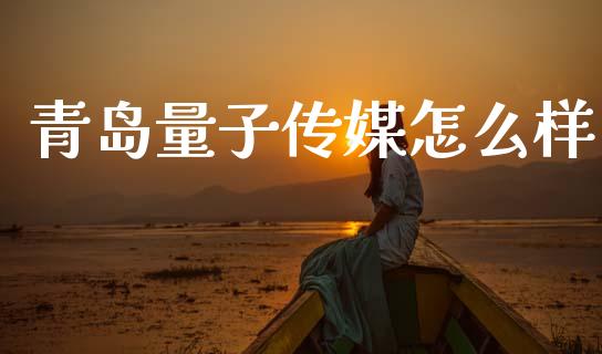青岛量子传媒怎么样_https://m.qmgjg.com_资金管理_第1张
