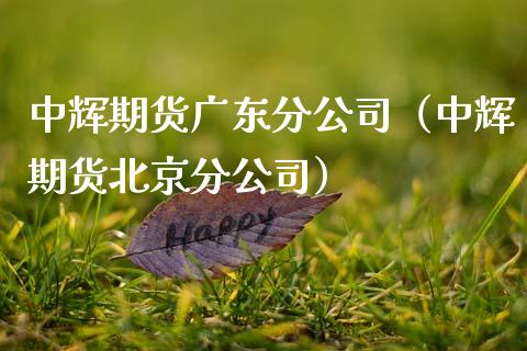 中辉期货广东分公司(中辉期货北京分公司)_金融市场_第1张_资金管理_投资银行_金融市场_货币基金 中辉期货广东分公司(中辉期货北京分公司)_https://m.qmgjg.com_金融市场_第1张