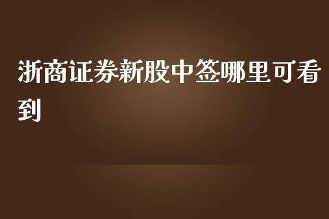 浙商证券新股中签哪里可看到_https://m.qmgjg.com_金融市场_第1张