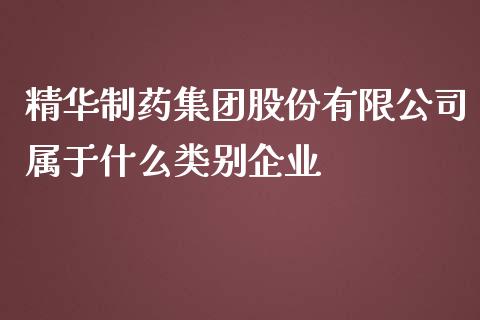 精华制药集团股份有限公司属于什么类别企业_https://m.qmgjg.com_资金管理_第1张