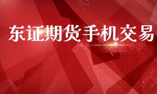 东证期货手机交易_https://m.qmgjg.com_资金管理_第1张