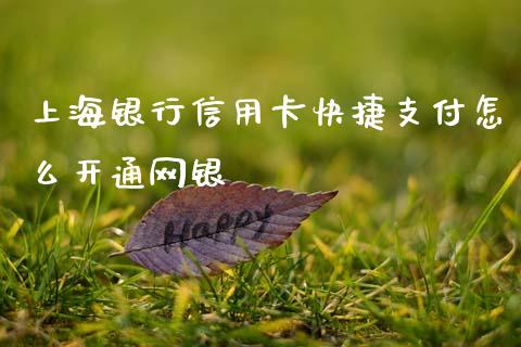 上海银行信用卡快捷支付怎么开通网银_https://m.qmgjg.com_资金管理_第1张
