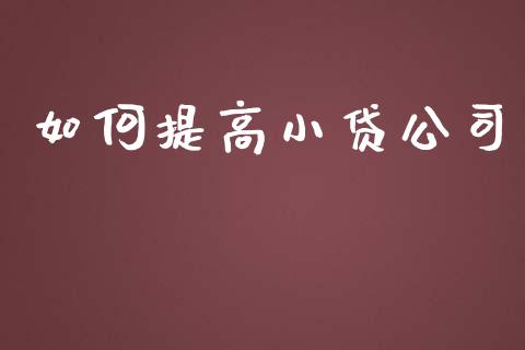 如何提高小贷公司_https://m.qmgjg.com_资金管理_第1张