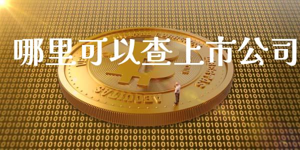 哪里可以查上市公司_https://m.qmgjg.com_货币基金_第1张
