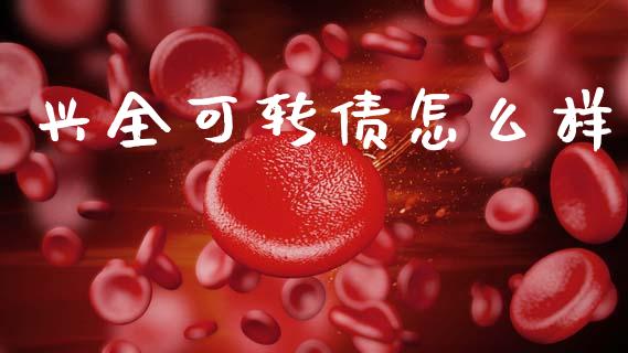 兴全可转债怎么样_https://m.qmgjg.com_投资银行_第1张