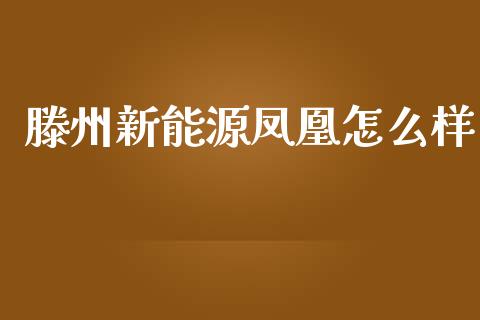 滕州新能源凤凰怎么样_https://m.qmgjg.com_资金管理_第1张
