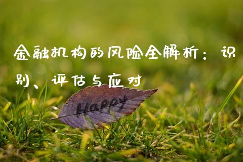 金融机构的风险全解析：识别、评估与应对_https://m.qmgjg.com_货币基金_第1张