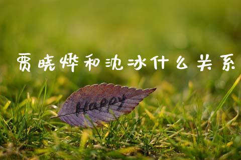贾晓烨和沈冰什么关系_https://m.qmgjg.com_资金管理_第1张