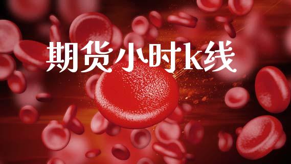 期货小时k线_https://m.qmgjg.com_资金管理_第1张