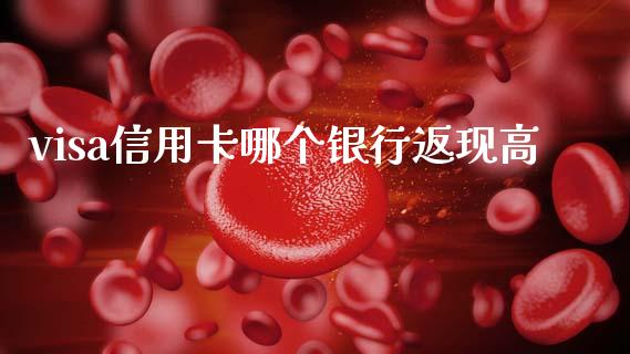 visa信用卡哪个银行返现高_https://m.qmgjg.com_资金管理_第1张