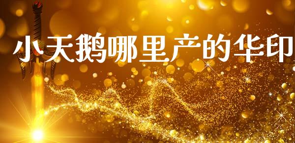小天鹅哪里产的华印_https://m.qmgjg.com_金融市场_第1张
