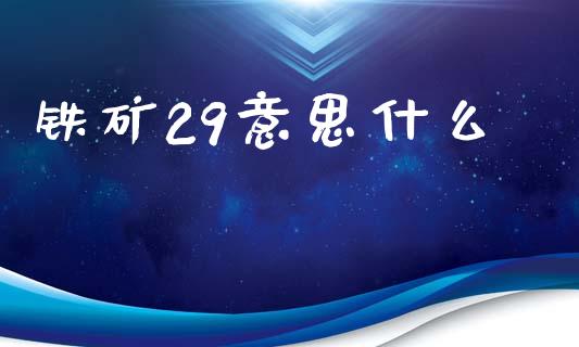 铁矿29意思什么_https://m.qmgjg.com_投资银行_第1张