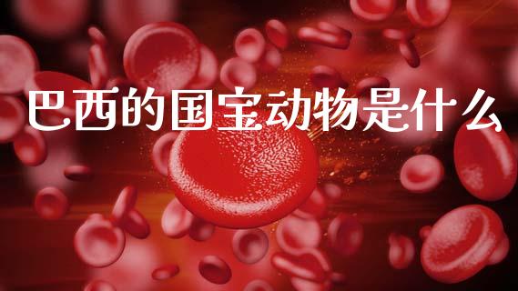 巴西的国宝动物是什么_https://m.qmgjg.com_货币基金_第1张