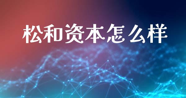 松和资本怎么样_https://m.qmgjg.com_货币基金_第1张