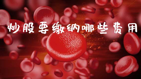 炒股要缴纳哪些费用_https://m.qmgjg.com_货币基金_第1张