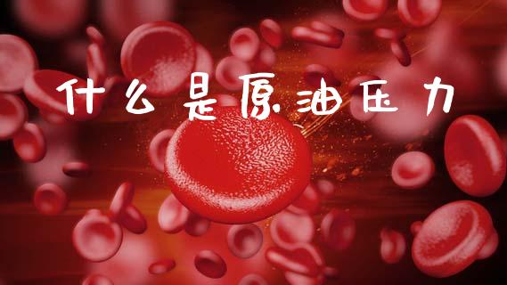 什么是原油压力_https://m.qmgjg.com_投资银行_第1张