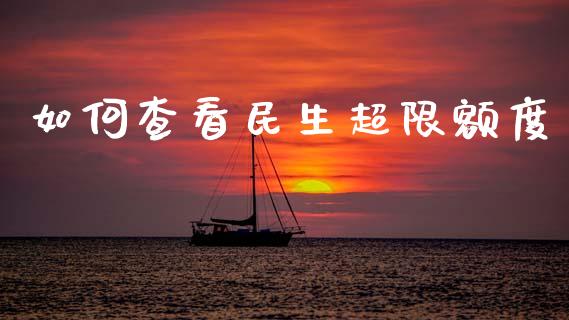 如何查看民生超限额度_https://m.qmgjg.com_投资银行_第1张