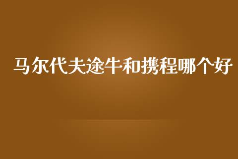 马尔代夫途牛和携程哪个好_https://m.qmgjg.com_资金管理_第1张