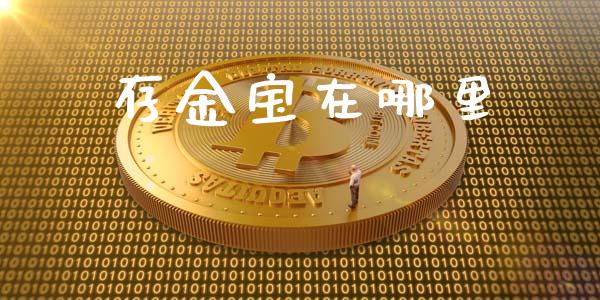 存金宝在哪里_https://m.qmgjg.com_资金管理_第1张