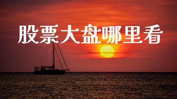 股票大盘哪里看_https://m.qmgjg.com_投资银行_第1张