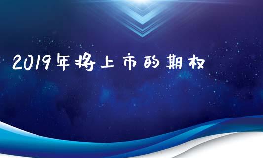 2019年将上市的期权_https://m.qmgjg.com_投资银行_第1张