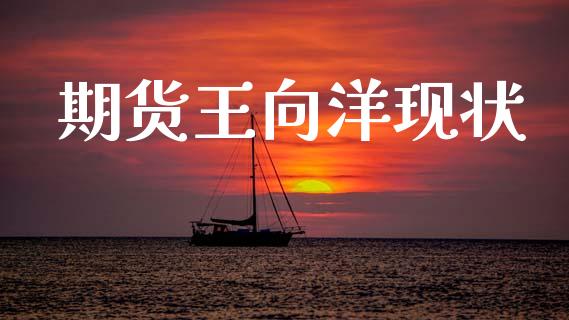 期货王向洋现状_https://m.qmgjg.com_金融市场_第1张