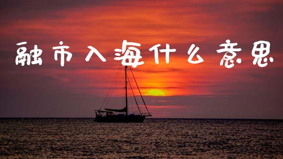 融市入海什么意思_https://m.qmgjg.com_资金管理_第1张