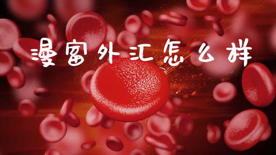 漫富外汇怎么样_https://m.qmgjg.com_投资银行_第1张