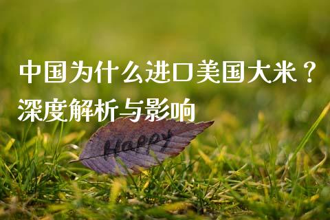 中国为什么进口美国大米？深度解析与影响_https://m.qmgjg.com_资金管理_第1张