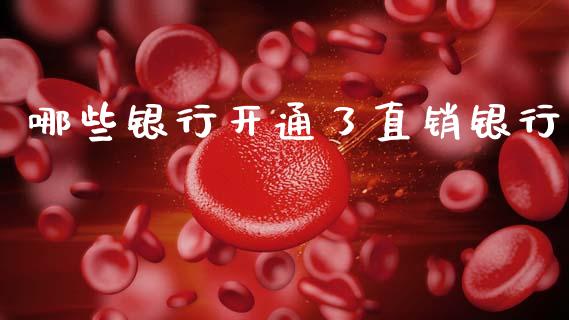 哪些银行开通了直销银行_https://m.qmgjg.com_资金管理_第1张