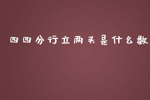 四四分行立两头是什么数_https://m.qmgjg.com_货币基金_第1张