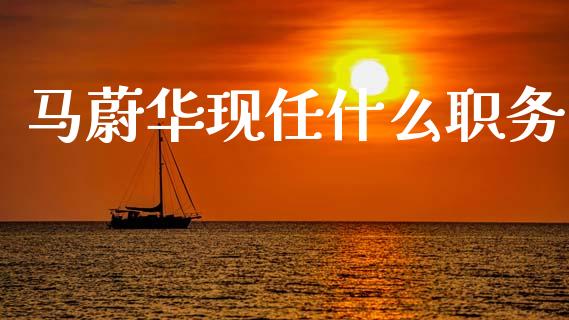 马蔚华现任什么职务_https://m.qmgjg.com_金融市场_第1张