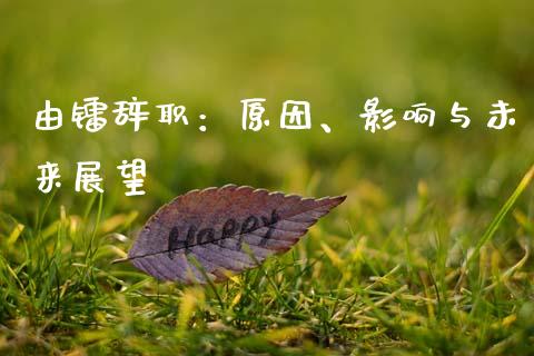 由镭辞职：原因、影响与未来展望_https://m.qmgjg.com_资金管理_第1张