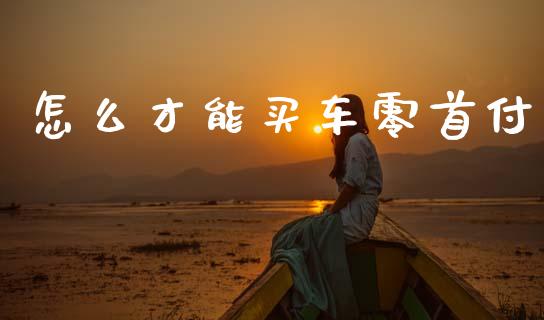 怎么才能买车零首付_https://m.qmgjg.com_金融市场_第1张
