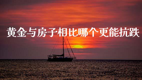 黄金与房子相比哪个更能抗跌_https://m.qmgjg.com_投资银行_第1张